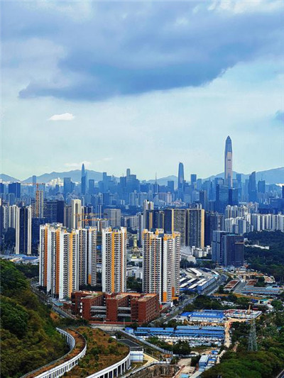 上海品茶平台排行榜